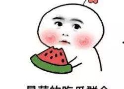 娱乐圈吃瓜白底图表情包,吃瓜群众的欢乐源泉