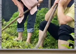 吃瓜群众娱乐八卦,吃瓜群众揭秘明星幕后故事