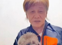 吃瓜系统娱乐圈一口气看完,一网打尽，尽享八卦盛宴