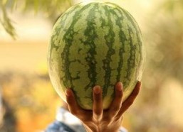 2021娱乐圈吃瓜不断