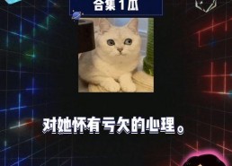 吃瓜 娱乐新闻在线观看