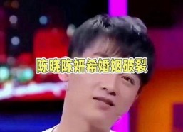 娱乐陈晓吃瓜图片大全,娱乐圈独家揭秘