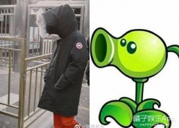 喜喜吃瓜娱乐,揭秘娱乐圈幕后故事，带你领略明星真实生活