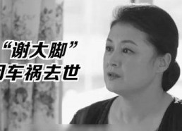 娱乐圈的吃瓜少年,揭秘明星幕后故事