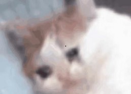 吃瓜表情包动图,趣味横生的网络文化现象