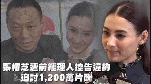 娱乐吃瓜喷子在线观看