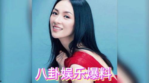 娱乐吃瓜明星走红